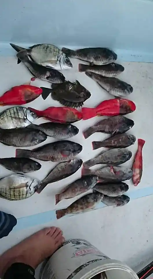 Adrasan Balık Turu