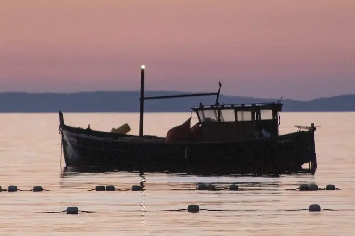 Balık Turu mu, Tekne Turu mu? Adrasan'da Hangisini Seçmeli? (2026 Rehberi)